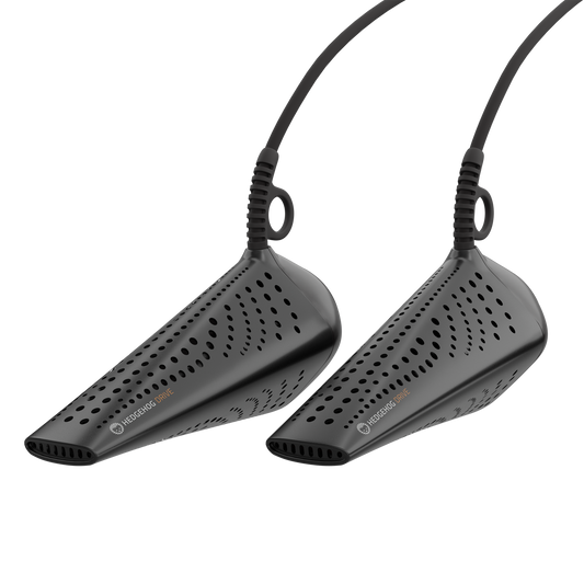 Hedgehog DRIVE - NEW!